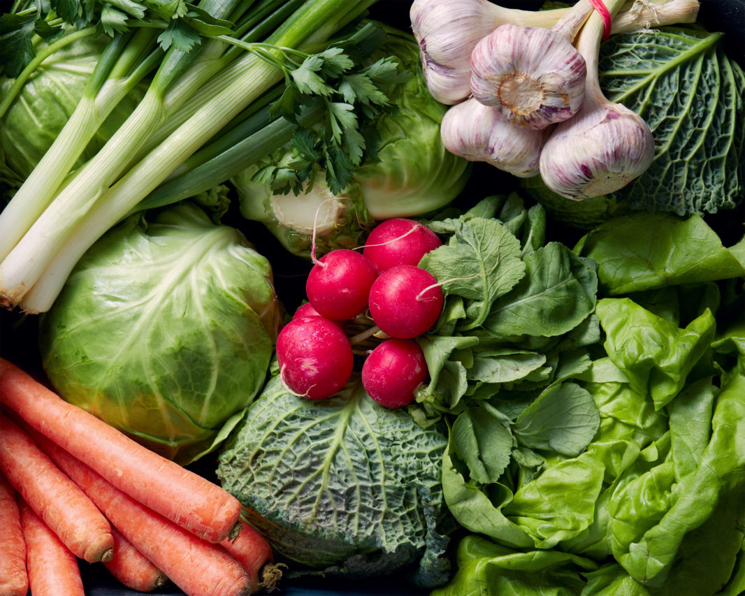 Close up photo of an array of fresh vegetables, including lettuce, cabbage, radishes, carrots, and garlic.