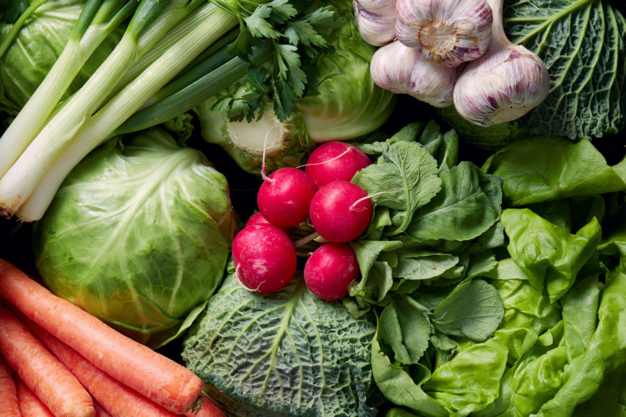 Close up photo of an array of fresh vegetables, including lettuce, cabbage, radishes, carrots, and garlic.