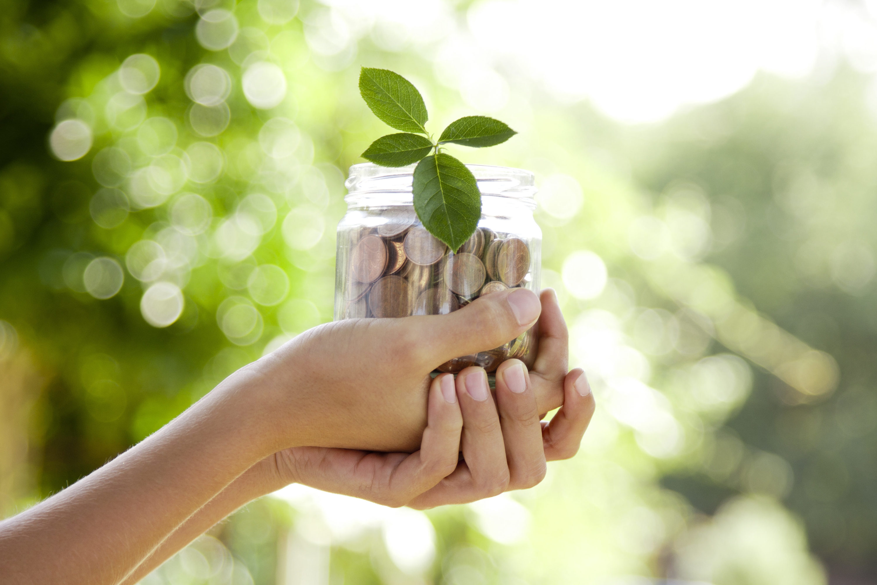 woman's hands holding jar of coins with green sprouting plant