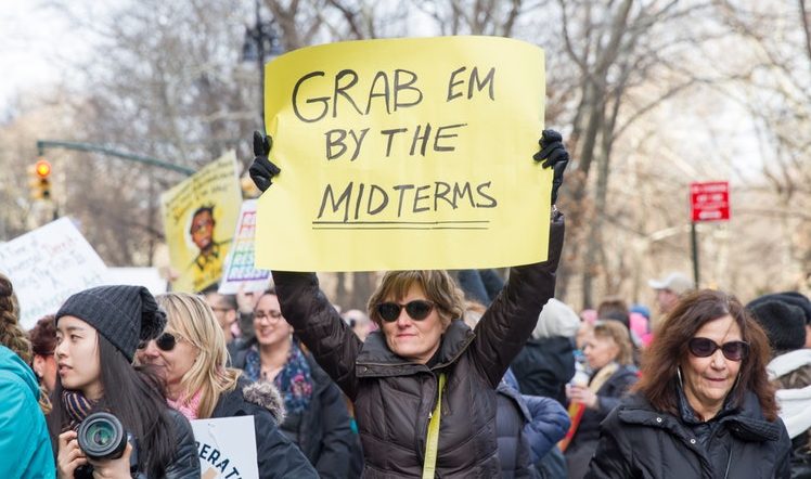 Woman with yellow Grab Em By the Midterms sign at the Women's March in New York City