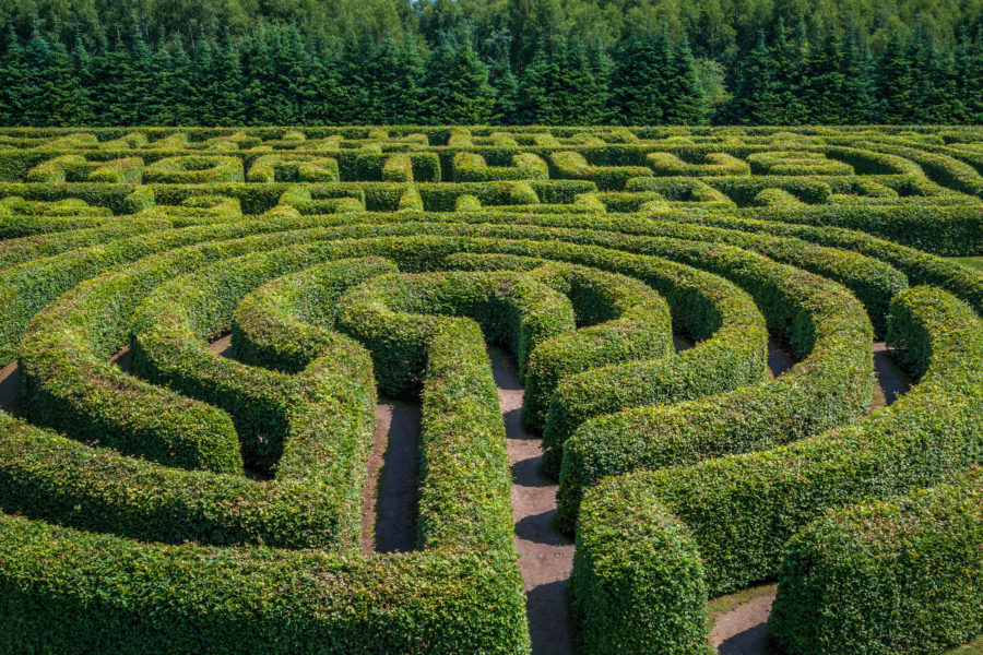 Top view of green bushes circular labyrinth hedge maze