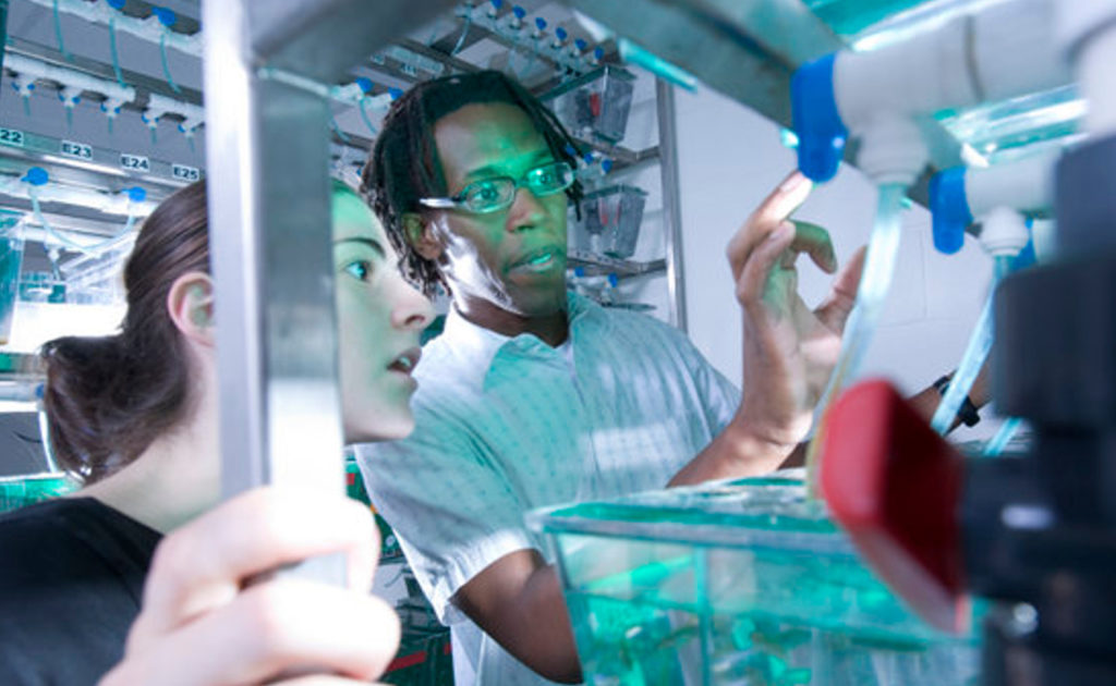 woman and man working in STEM lab at UMass Amherst 