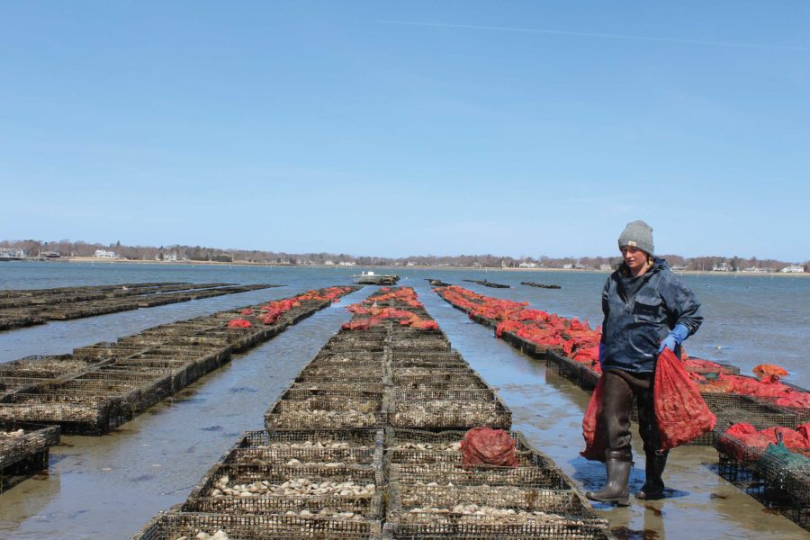 Ursula Balmer, on location at Island Creek Oysters in Duxbury