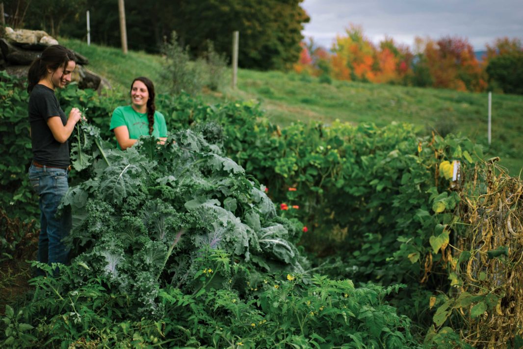 Canty’s working New Hampshire farm.