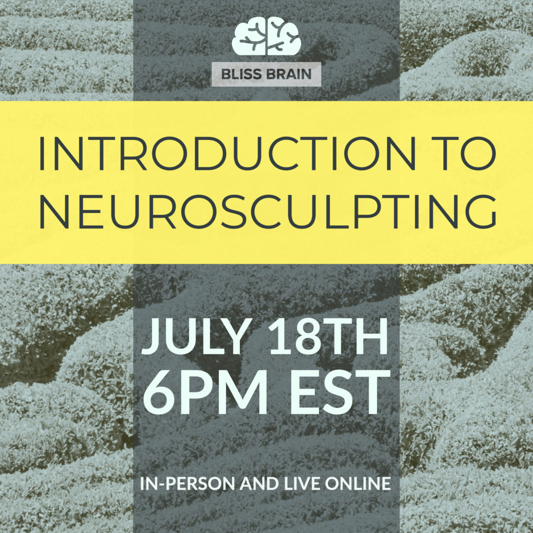 Introduction to NeuroSculpting