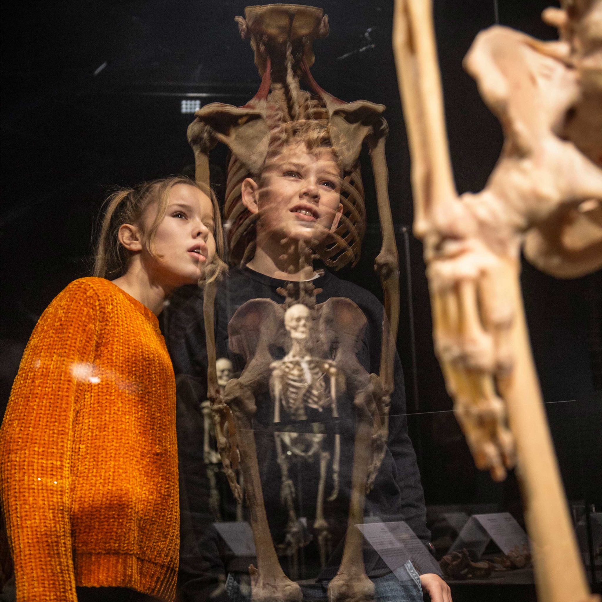 What Body Worlds’ Leading Lady Shows Us About Our Health Exhale Lifestyle