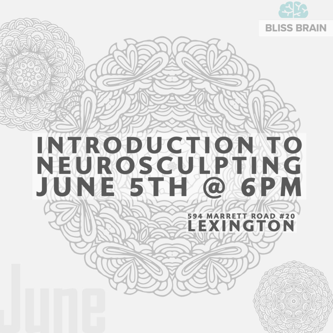 Introduction To NeuroSculpting