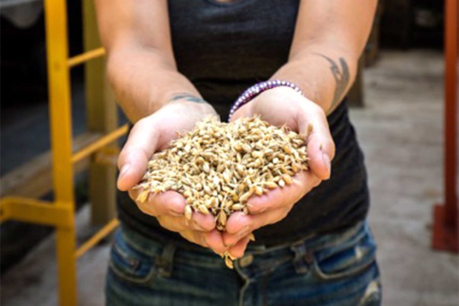 Andrea Stanley of Valley Malt