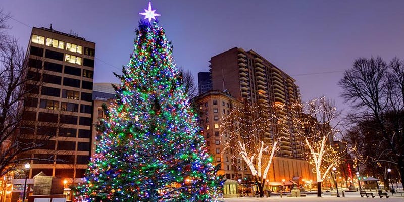 2019 Boston Common Tree Lighting